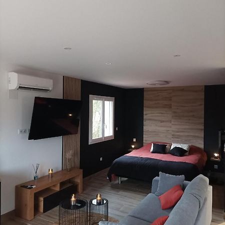Loft Sauna Jacuzzi Ospariegeois Lavelanet Exterior photo