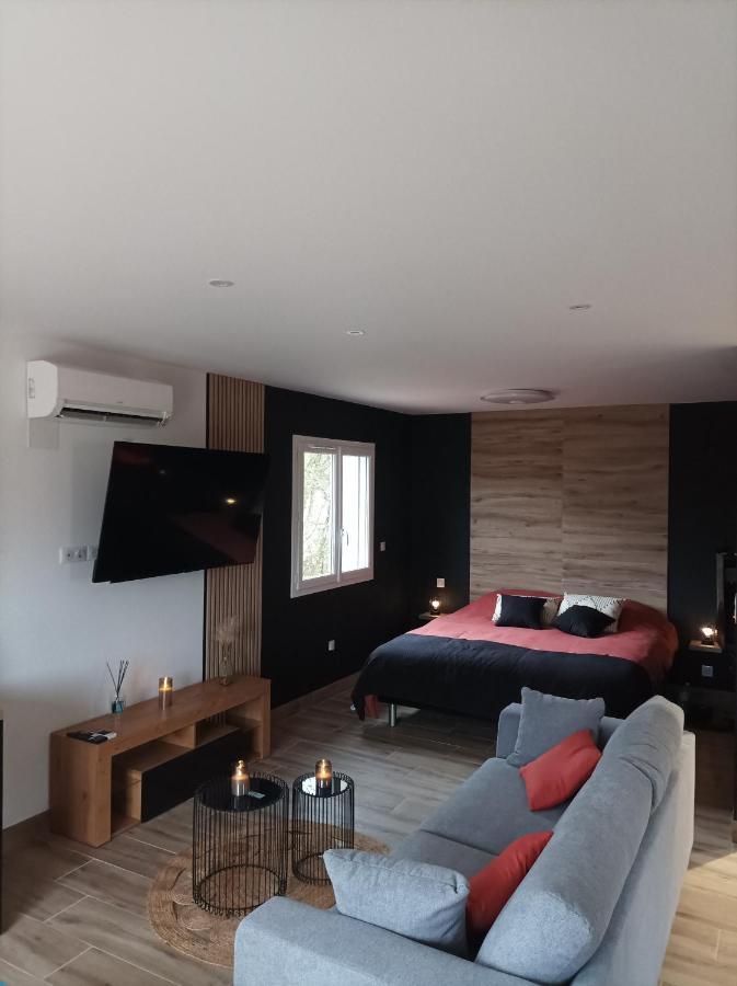 Loft Sauna Jacuzzi Ospariegeois Lavelanet Exterior photo